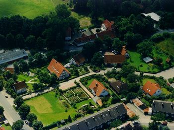 igk Krabbe - Firmengarten