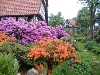 igk Krabbe - Firmengarten