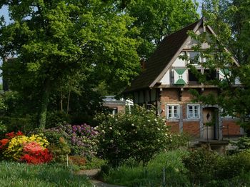 igk Krabbe - Firmengarten